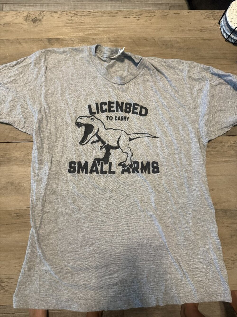 Dinosaur T-Shirt
